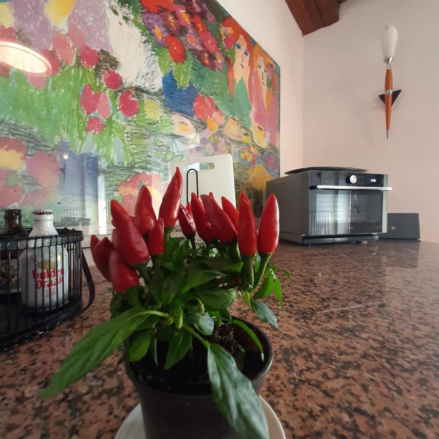 Loft Trabucco - In The Heart Of Salo City Center, Lake View, 4 Rooms Exterior photo